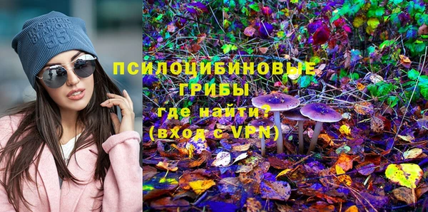 a pvp Бородино