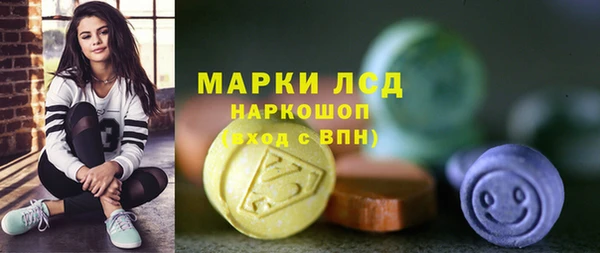 a pvp Бородино