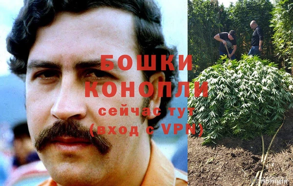 a pvp Бородино