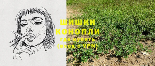 a pvp Бородино
