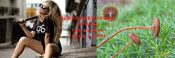 соль ск Бугульма